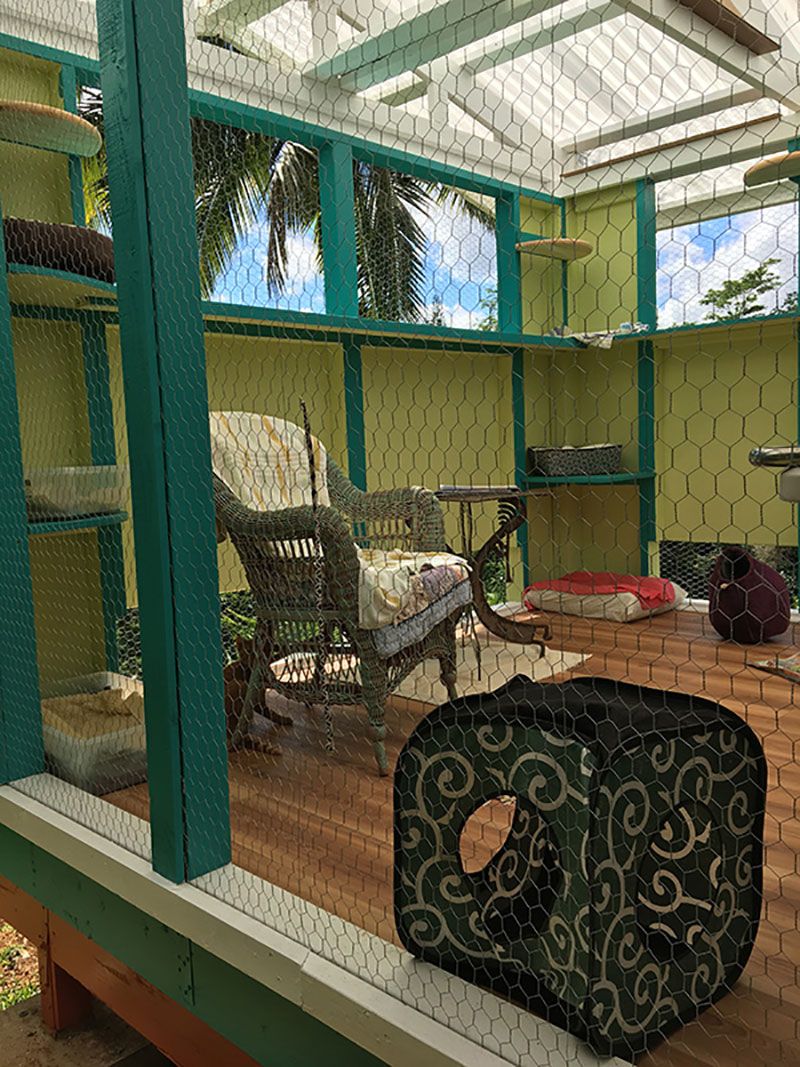 catio indoor