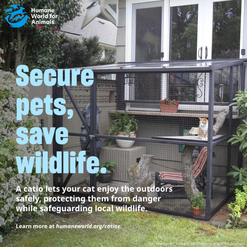 secure pets save wildlife