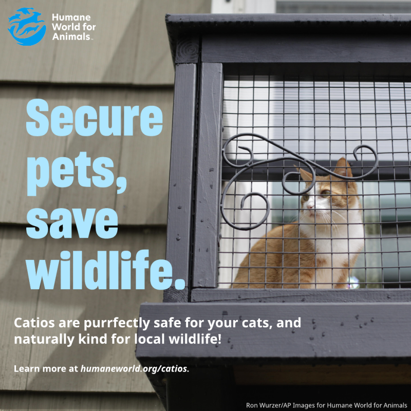 secure pets save wildlife
