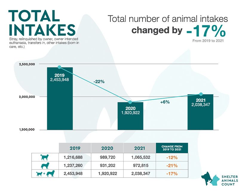 A bar graph showing total number of animal intakes from 2019 to 2021.