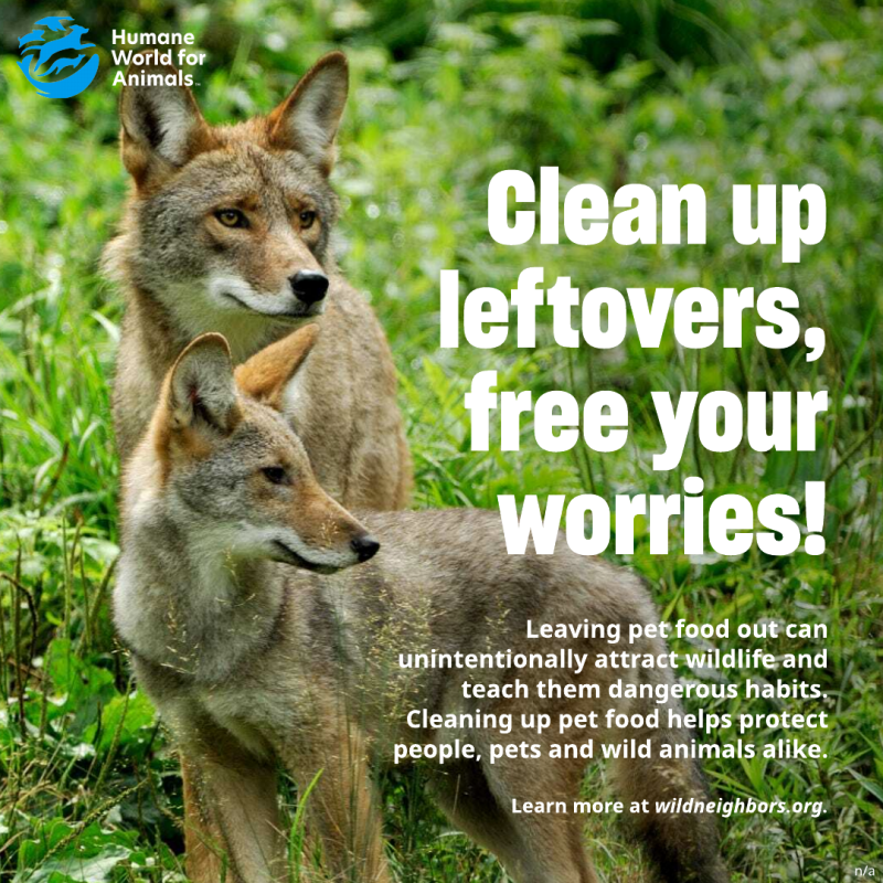 clean up leftovers free your worries