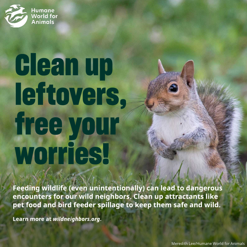 clean up leftovers free your worries