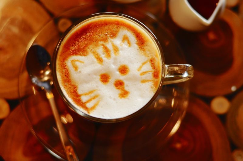 a cat design atop a latte