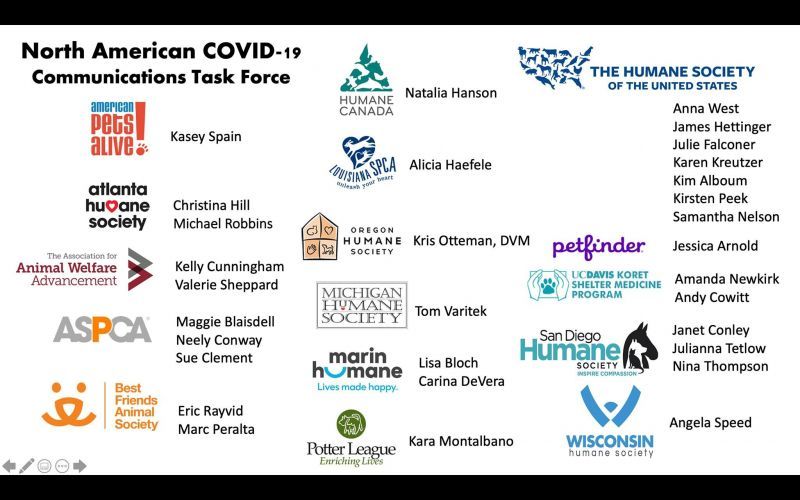 covid toolkit task force logos and members