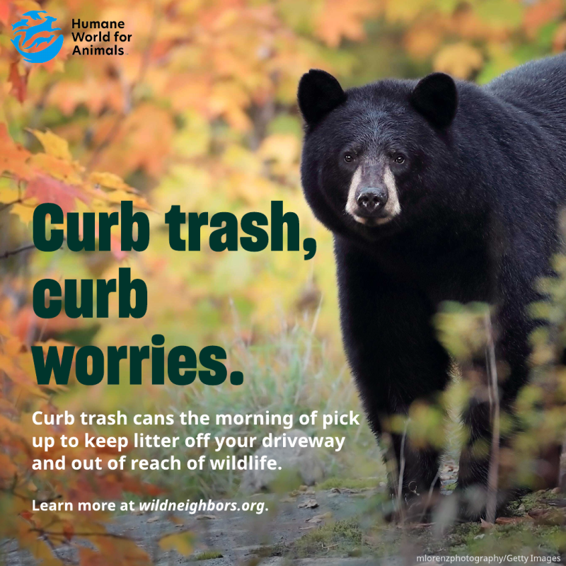 curb trash curb worries