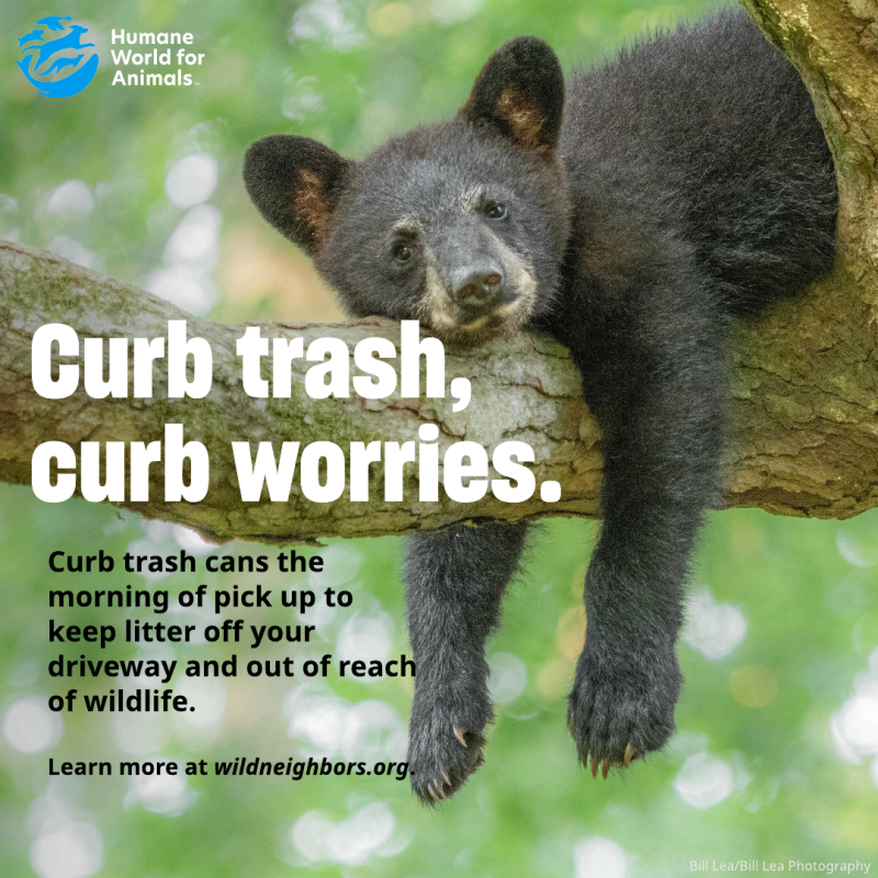 curb trash curb worries