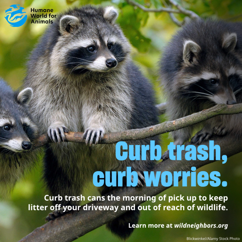 curb trash curb worries