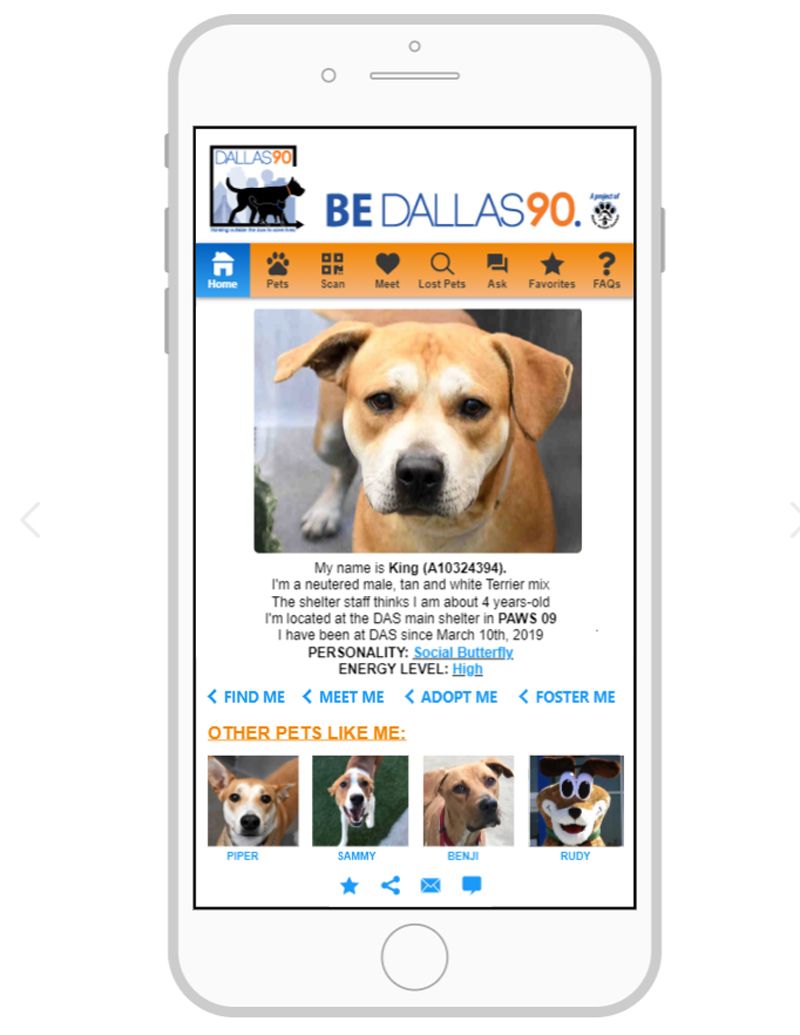mockup of the Dallas Animal Services app
