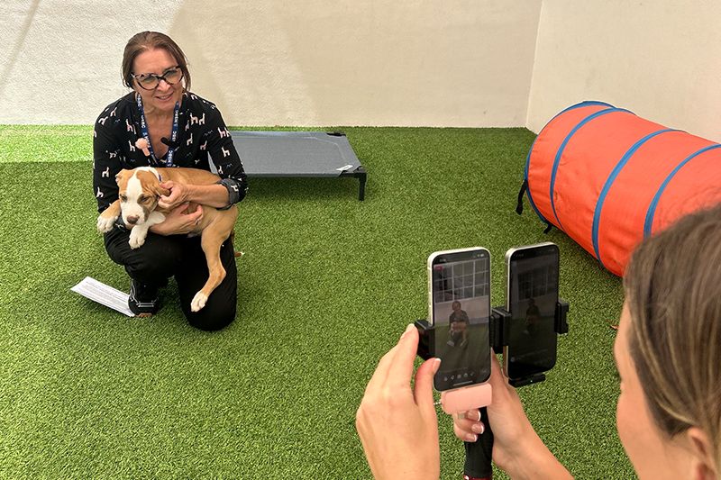 a woman livestreaming another woman holding a puppy in her lap