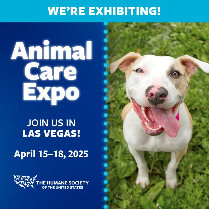 We're exhibiting at animal care expo 2025