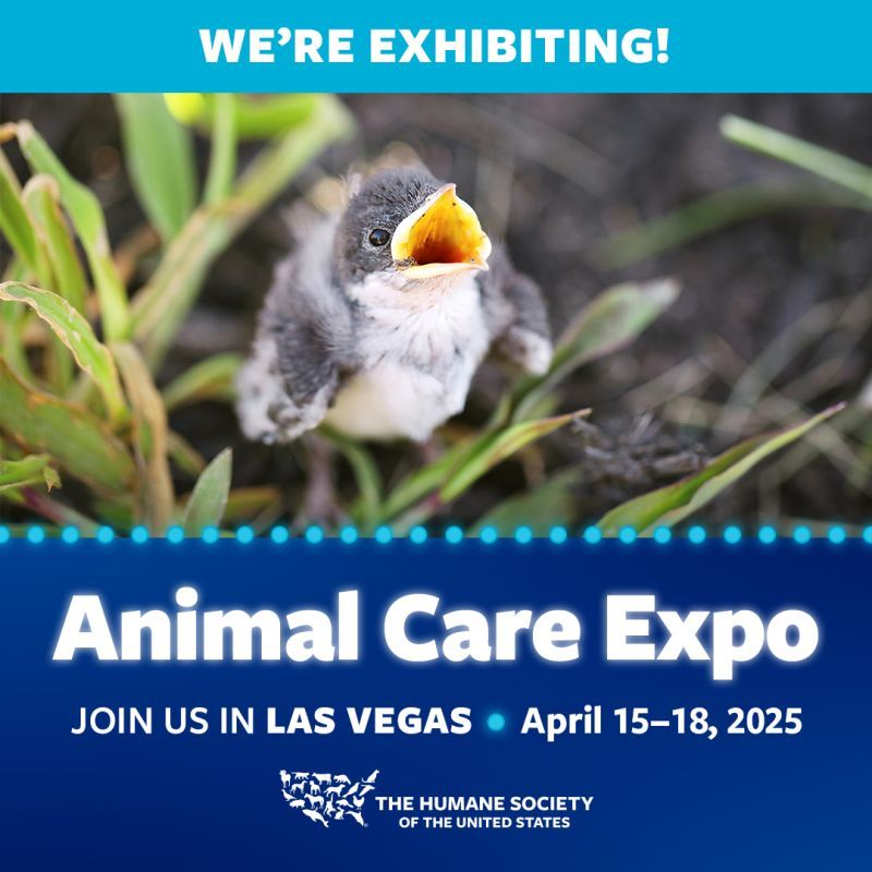 We're exhibiting at animal care expo 2025