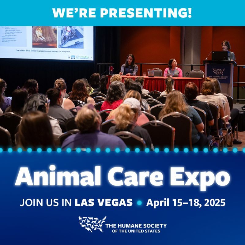 We're presenting at animal care expo 2025