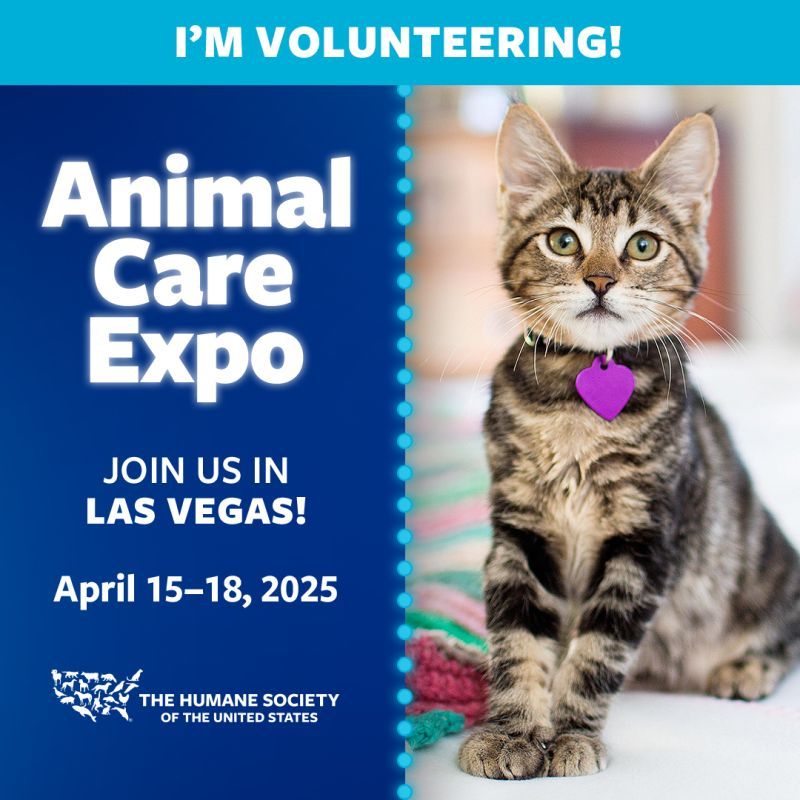 I'm volunteering at animal care expo 2025