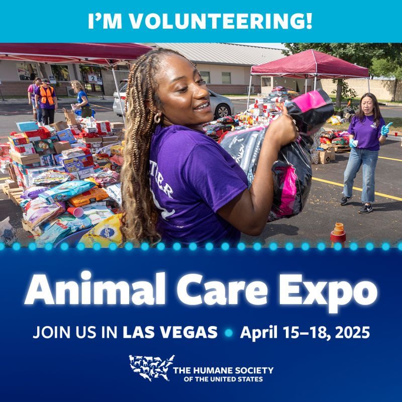 I'm volunteering at animal care expo 2025