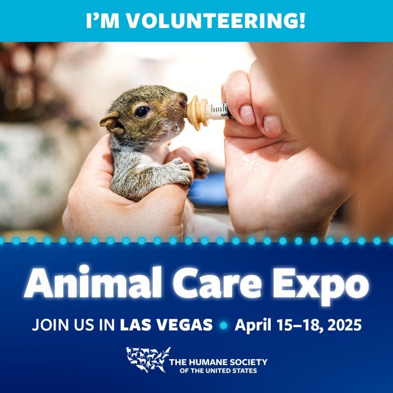 I'm volunteering at animal care expo 2025