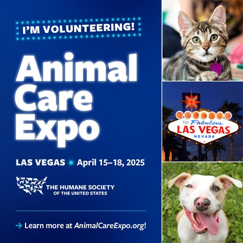 I'm volunteering at animal care expo 2025