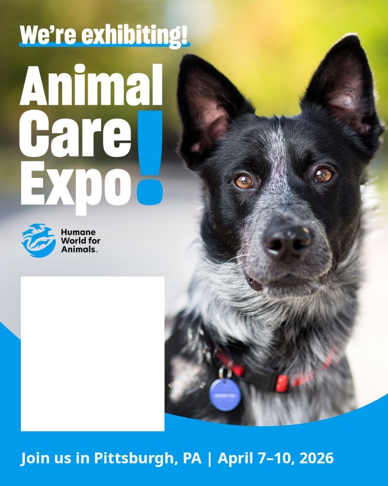 We're exhibiting at Animal Care Expo 2026