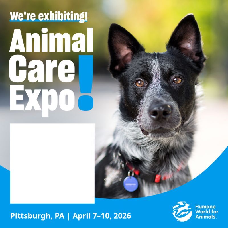 We're exhibiting at Animal Care Expo 2026