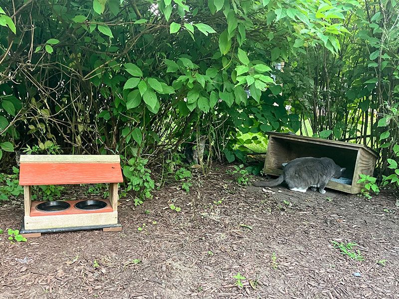 Community cat feeding stations