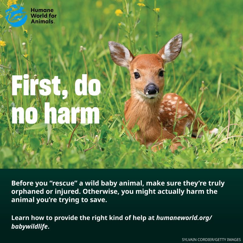First do no harm
