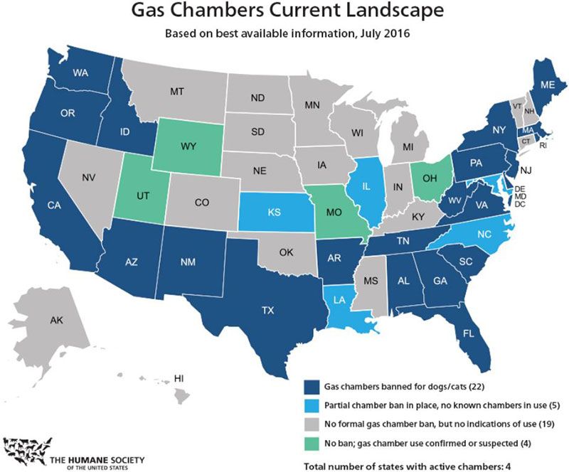 Current Landscape of Gas Chambers, July 2016