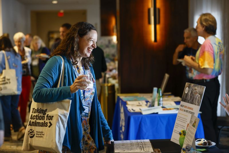 An attendee explores exhibit booths at TAFA 2025.