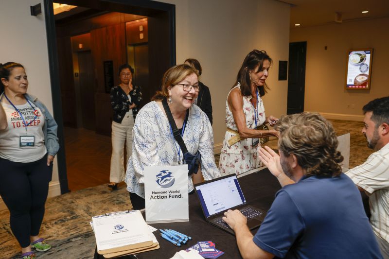 An attendee explores exhibit booths at TAFA 2025.