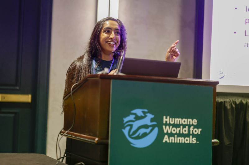 A speaker presents a workshop at TAFA 2025.
