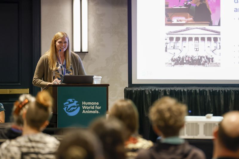 A speaker presents a workshop at TAFA 2025.