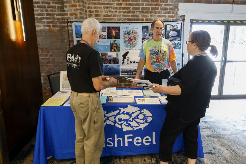 Attendees network with an exhibitor at TAFA 2025.