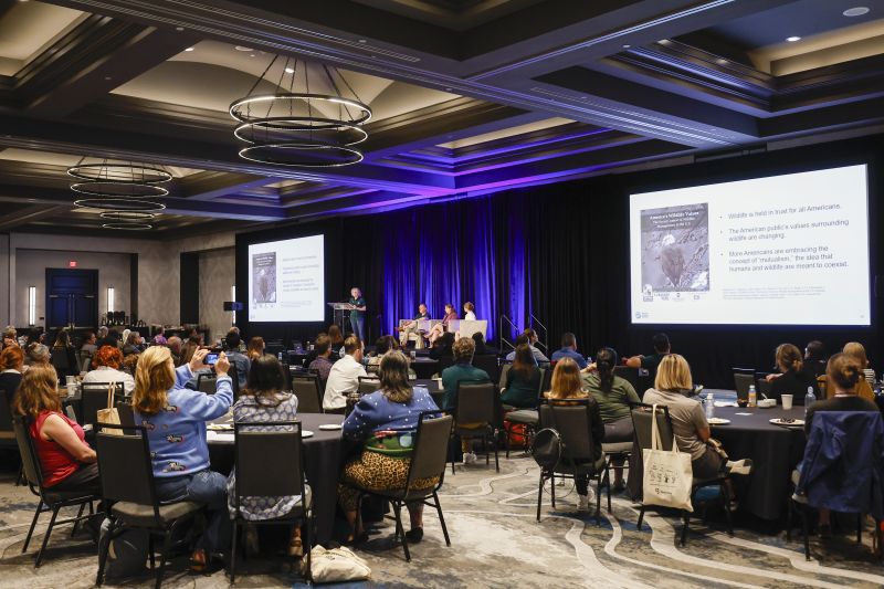 A main stage session at TAFA 2025.
