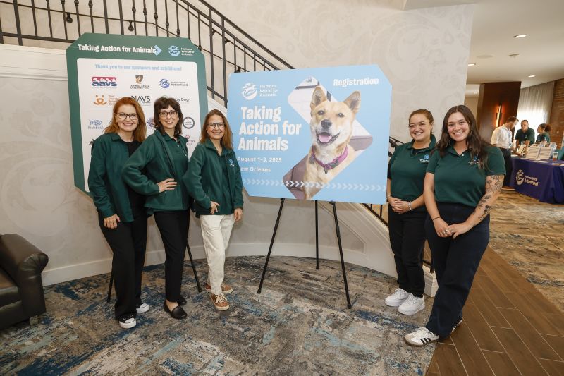 Some Humane World staff at TAFA 2025.