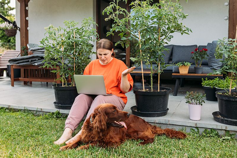 a frustrated woman looks at her laptop while her dog sits nearby
