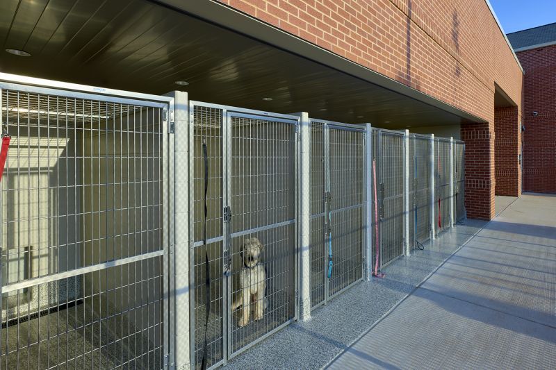 a dog standing in an outdoor kennel