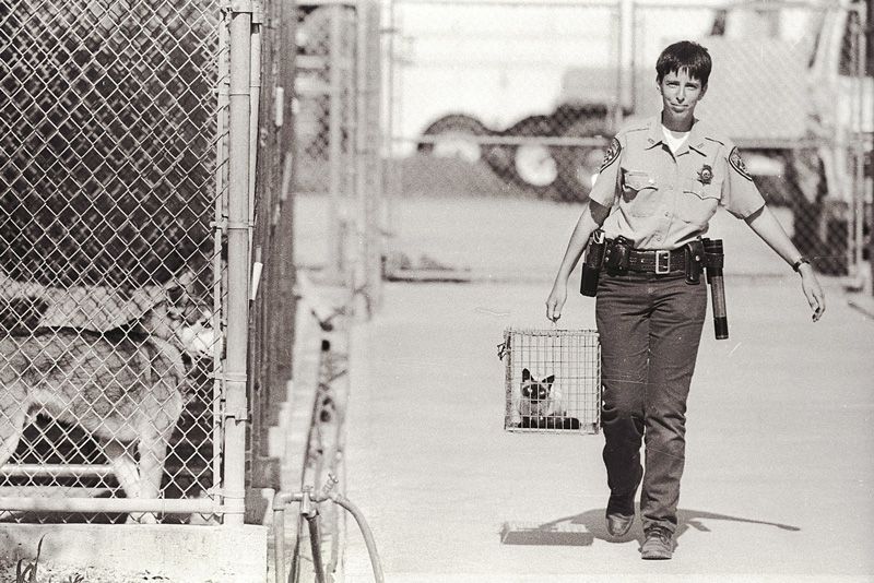 a humane officer carries a cat in a trap