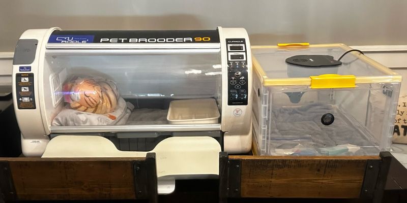 An incubator sitting on a table. 