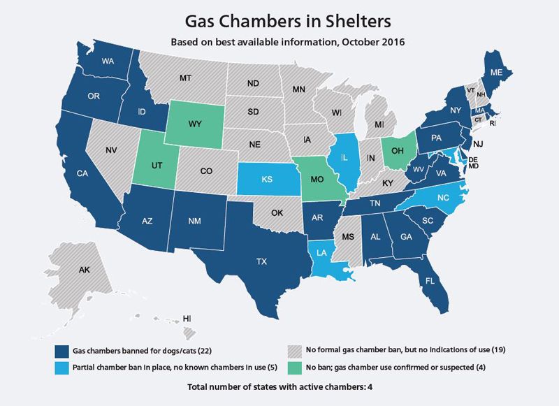 a map of gas chambers in shelters in the US