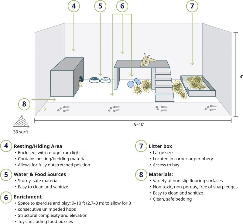 a graphic showing the Association of Shelter Veterinarians rabbit enclosure guidelines