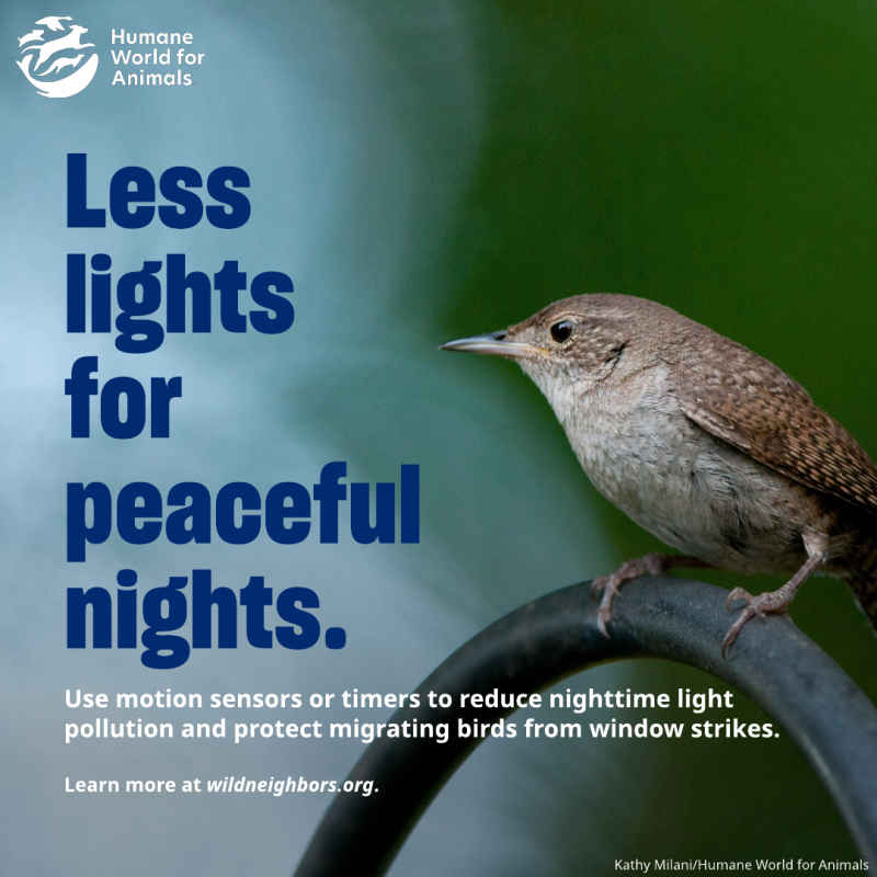 less lights for peaceful nights