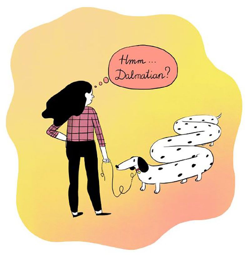 Shaking off Stigmas: Dalmation