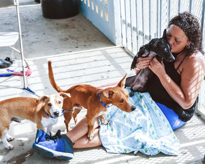 Woman with dogs