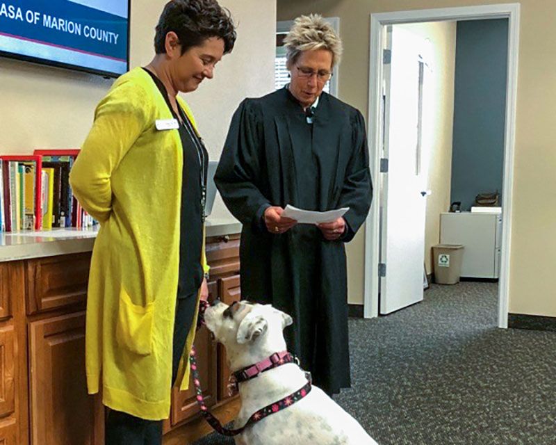 White dog Lilly Mae in court