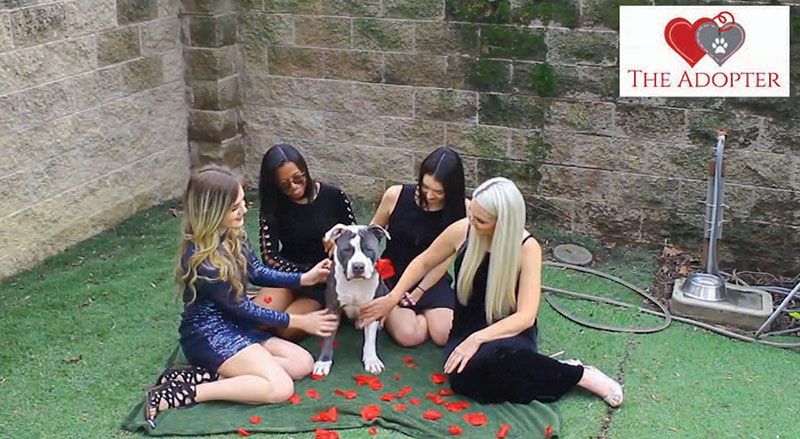 The ladies of Front Street Animal Shelter vie for handsome Colton’s affections