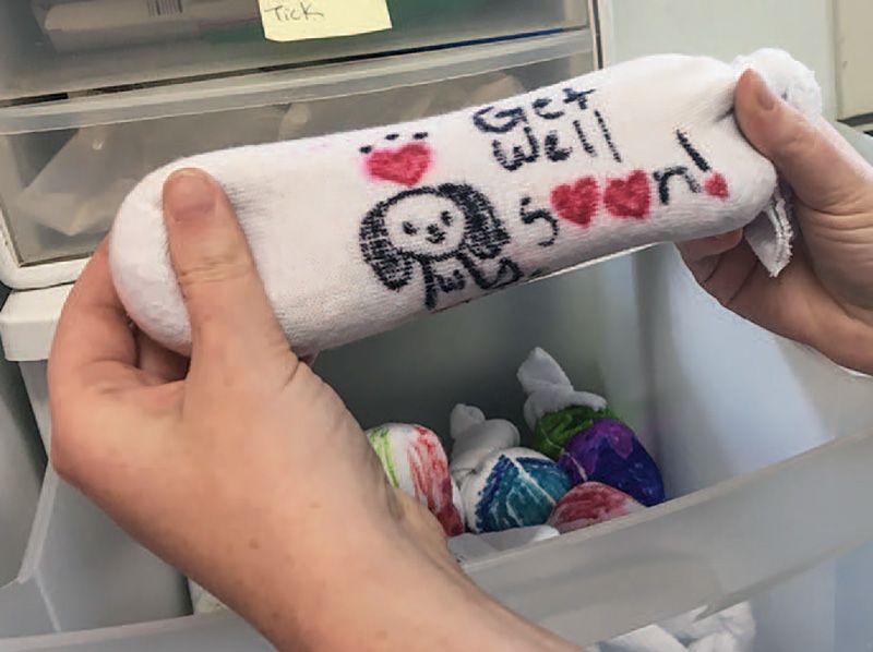 Rice-filled socks decorated by children keep wildlife warm at the Animal Welfare League of Arlington.