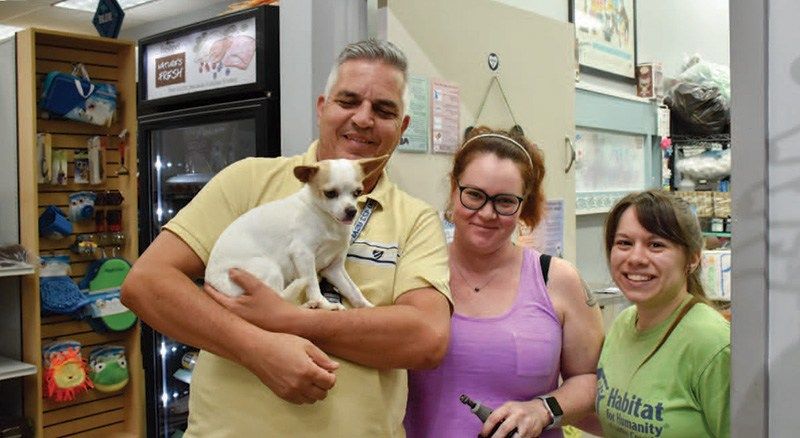 Dog adopted from the Humane Society of Tampa Bay