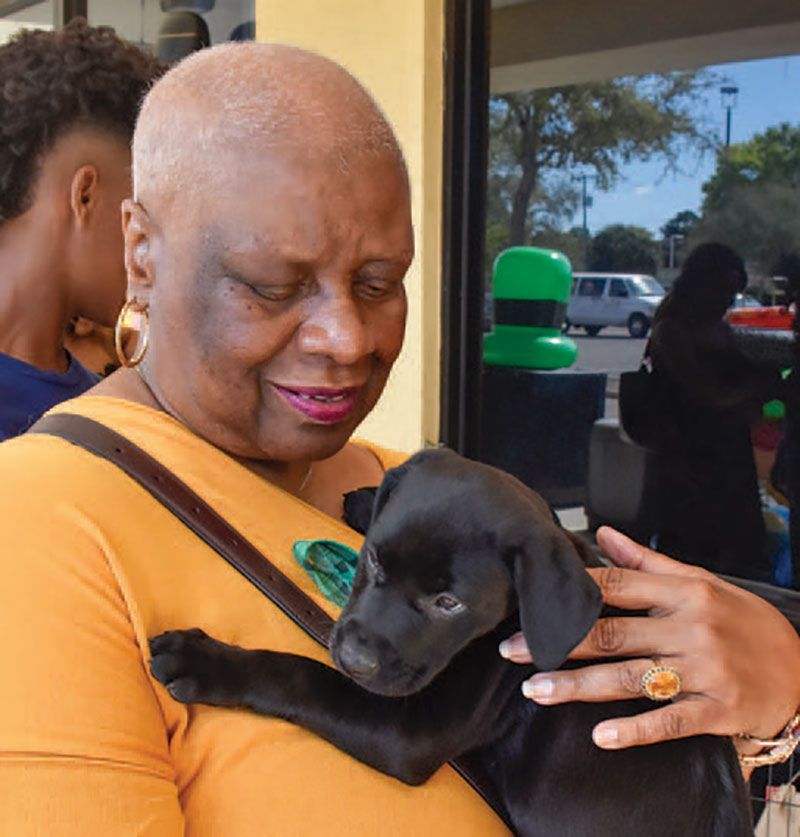 Dog adopted from the Humane Society of Tampa Bay