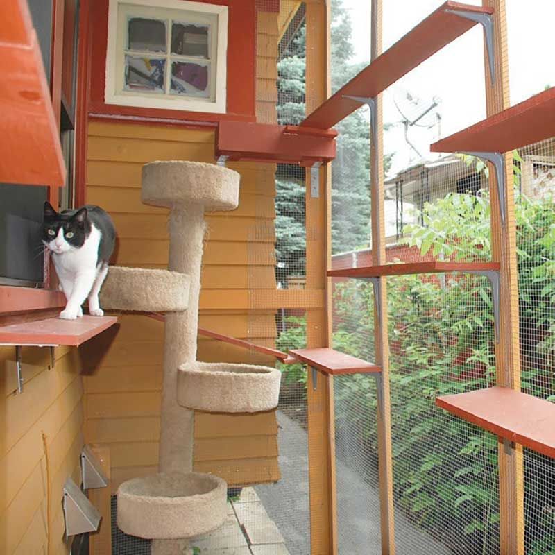 After holding a successful Catio Tour in Portland, Ore., in 2013, organizers staged an even bigger event last year. Stops included this converted alcove, known as Cool Cats’ Corner