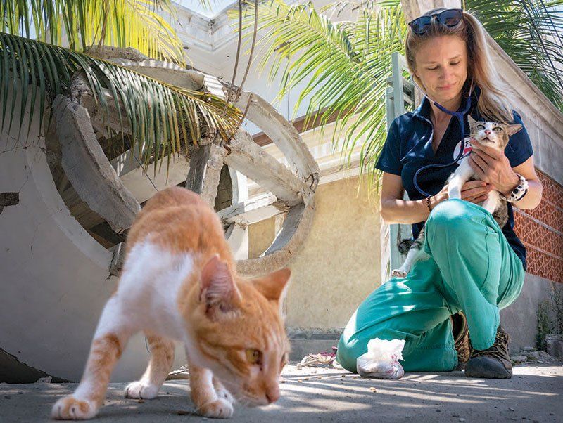Dr. Katherine Polak examines cats in a mosque in Indonesia