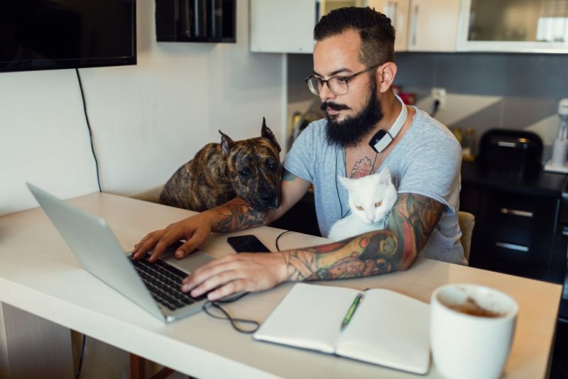 A man working on his laptop with a cat on his lap and dog resting on his arm