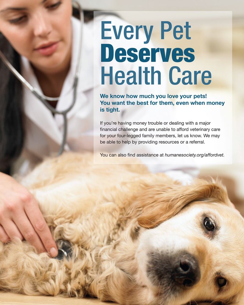 Every pet deserves health care | HumanePro by The Humane Society of the  United States